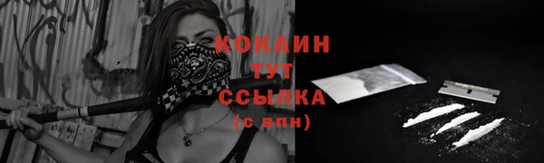 прущие грибы Абинск