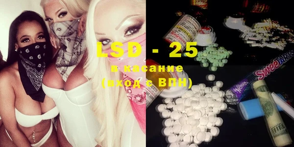 прущие грибы Абинск