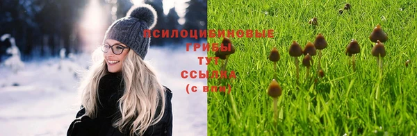 амф Алзамай