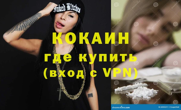 прущие грибы Абинск